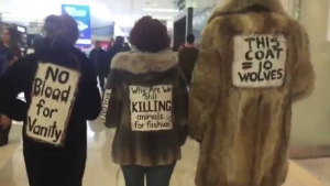 CFDA宣布2026年全面禁用皮草：NYFW正式邁向無皮草時代