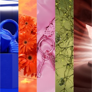 連結情緒與未來的色彩力量：WGSN、Coloro揭示2027春夏五大關鍵色